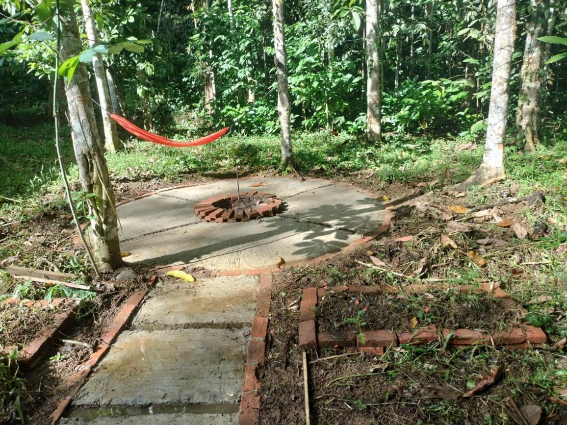 Sugi House Toraja - Penginapan Villa Harian Keluarga -Muat 20 Orang 兰特包 外观 照片